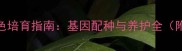 边境牧羊犬陨石色培育指南基因配种与养护全附权威繁殖数据