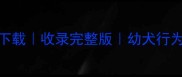 泰迪犬叫声下载收录完整版幼犬行为与训练指南