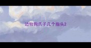 边牧狗爪子几个指头