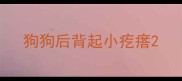 狗狗后背起小疙瘩