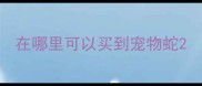 在哪里可以买到宠物蛇