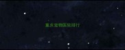 重庆宠物医院排行