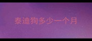 泰迪狗多少一个月