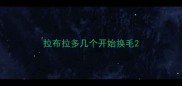 拉布拉多几个开始换毛