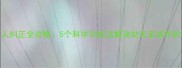 哈士奇咬人纠正全攻略5个科学训练法解决幼犬至成年的破坏行为