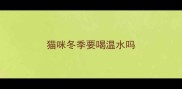 猫咪冬季要喝温水吗