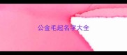 公金毛起名字大全