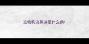 宠物狗流鼻涕是什么病