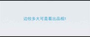 边牧多大可是看出品相