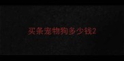 买条宠物狗多少钱
