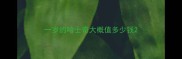 一岁的哈士奇大概值多少钱