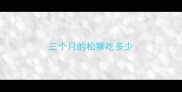 三个月的松狮吃多少