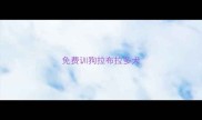 免费训狗拉布拉多犬