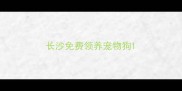 长沙免费领养宠物狗