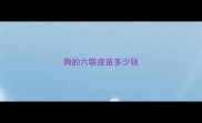 狗的六联疫苗多少钱