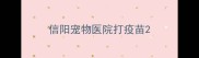 信阳宠物医院打疫苗