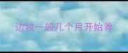 边牧一般几个月开始养