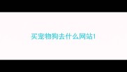 买宠物狗去什么网站