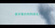 最好看的狗狗排名