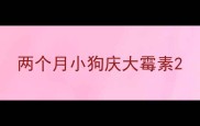 两个月小狗庆大霉素