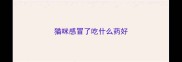 猫咪感冒了吃什么药好