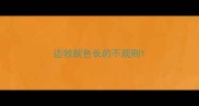 边牧颜色长的不规则