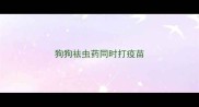 狗狗祛虫药同时打疫苗