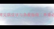 警惕拉布拉多犬常见病症状与急救指南养宠必看疾病预警手册