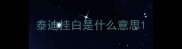 泰迪挂白是什么意思