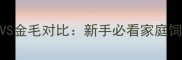 拉布拉多VS金毛对比新手必看家庭饲养指南