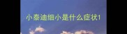 小泰迪细小是什么症状