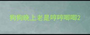 狗狗晚上老是哼哼唧唧