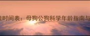 狗狗绝育最佳时间表母狗公狗科学年龄指南与术后护理全
