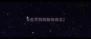 全世界狗狗智商排名