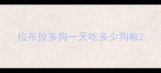 拉布拉多狗一天吃多少狗粮