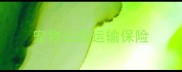 宠物公路运输保险