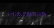 边牧吃氨酚黄那敏