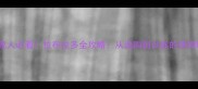 成都养宠人必看拉布拉多全攻略从选购到训练的保姆级指南