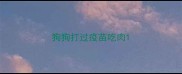 狗狗打过疫苗吃肉