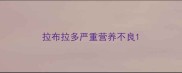 拉布拉多严重营养不良