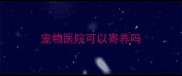 宠物医院可以寄养吗