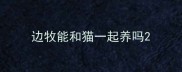 边牧能和猫一起养吗