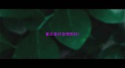 重庆最好宠物医院