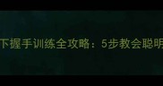边境牧羊犬坐下握手训练全攻略5步教会聪明狗狗握手技能
