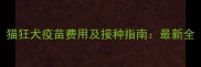 猫狂犬疫苗费用及接种指南最新全