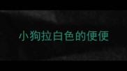 小狗拉白色的便便