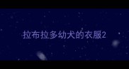 拉布拉多幼犬的衣服