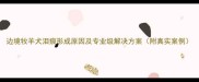 边境牧羊犬泪痕形成原因及专业级解决方案附真实案例