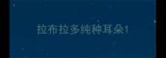 拉布拉多纯种耳朵
