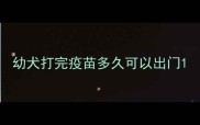 幼犬打完疫苗多久可以出门